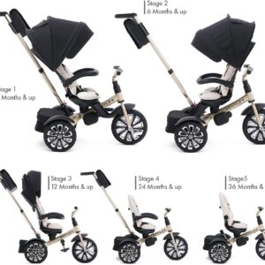 Bentley Trike - All Terrain Toddler Bike 6-in-1, Mulliner Gold Limited Edition, Officially Licensed and Designed by Bentley Motors UK; Baby to Big Kid Tricycle (6m-5y+)