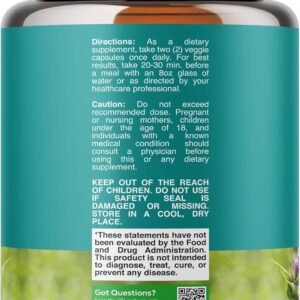 Liver Cleanse Detox & Repair - Milk Thistle Supplement for Digestion & Immune Health - Ginger Root, Choline & Dandelion Root - Herbal Liver Support with Silymarin, Beetroot & Artichoke - 70 Count