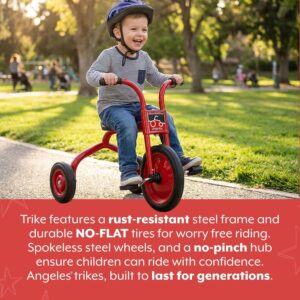 Angeles ClassicRider Kids Tricycle, Toddler Tricycle with Solid Airless Rubber Tires, Kids Bike for Preschools and Daycare, Ages 3+, 15.75" Tall Seat