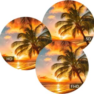 SYLVOX 27 Inch TV 12/24 Volt TV Full HD RV TV,1080P, Built-in Digital Video Disc Player and FM Radio, for Home, RV Camper and Mobile Use, Black